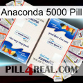 Anaconda 5000 Pill kamagra1